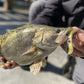 🎣HOT SALE🔥Simulert fisk Realistisk myk plast lokke🐟-KJØP 2 GRATIS 1
