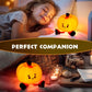 Halloween-gave - Morsomme gresskar lanterner, venter på din glede