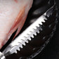 Fiskeavleiringsfjerner i rustfritt stål