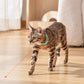 🎁Varmt salg🐱Oppladbart bærbart elektronisk halsbånd for katt