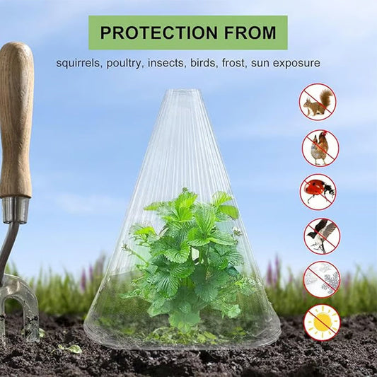 20/30 PCS Clear Garden Cloche for planter
