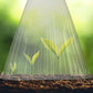 20/30 PCS Clear Garden Cloche for planter