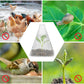 20/30 PCS Clear Garden Cloche for planter