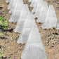 20/30 PCS Clear Garden Cloche for planter