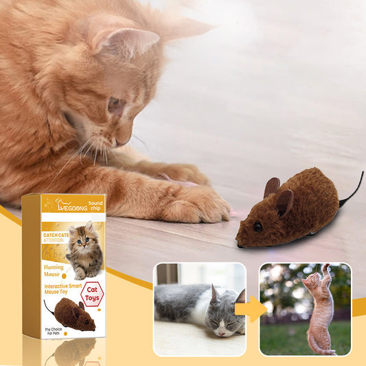 😽Ryddesalg🐶Katt-, hunde- og museleker