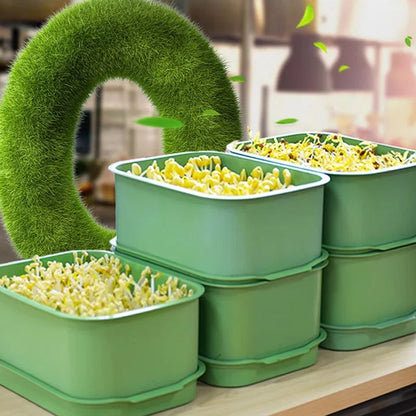 🌿 Dyrk Dine Egne Spirede Bønner – 50% RABATT! Stabelbart Design Gir Maksimal Avling på Minimal Plass. 💪 Helsegevinst: Friske, Sprø & Møgelfrie Skudd. 🚫 Uten Jord – Bare Vann & Tålmodighet! Perfekt til Salater, Wok & Smoothies.