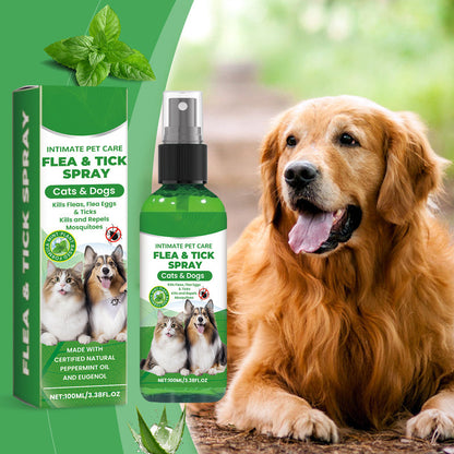 🐶🐱Naturlig loppe- og flåttspray for hunder og katter