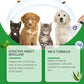🐶🐱Naturlig loppe- og flåttspray for hunder og katter