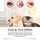 🐶🐱Naturlig loppe- og flåttspray for hunder og katter
