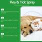 🐶🐱Naturlig loppe- og flåttspray for hunder og katter