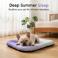 🐶❄️50% RABATT! Kjølende gelmatte for kjæledyr – Ingen kjøling nødvendig, umiddelbar varmeavlastning. Pustende, giftfri. Hjelper kjæledyr å sove kjølig hele sommeren! 🌿✨