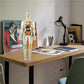 3D menneskekropp torso modell for barn anatomi modell skjelett