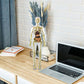 3D menneskekropp torso modell for barn anatomi modell skjelett