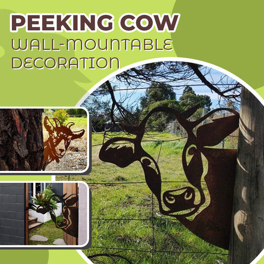 "Peeking Cow" veggdekorasjon (ser på ku)